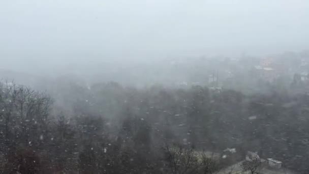 Schneesturm Vor Dem Hintergrund Des Waldes Blizzard — Stockvideo