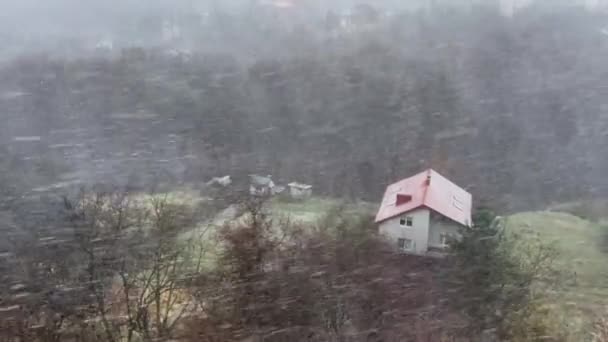 Tempête Neige Sur Fond Forêt Blizzard — Video