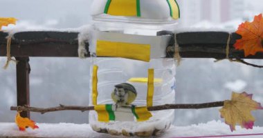 Tits eat pumpkin and sunflower seeds from a handmade feeder make from a plastic bottle on the balcony in winter. Slow motion.