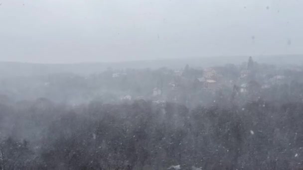 Ormanın Arka Planında Kar Fırtınası Kar Fırtınası — Stok video