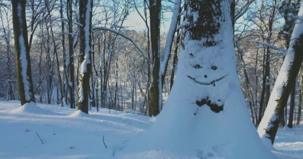 Ritning Snögubbe Ett Snöigt Träd — Stockvideo