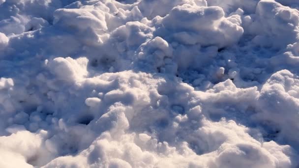 Hóval Borított Fák Téli Forgatás — Stock videók