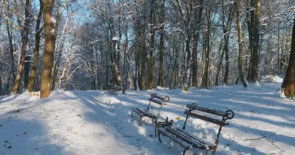 雪で覆われた公園のベンチ — ストック動画
