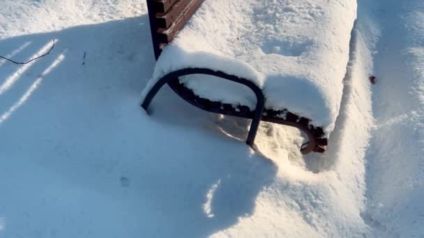 Πάγκων Στο Πάρκο Που Καλύπτονται Χιόνι — Αρχείο Βίντεο