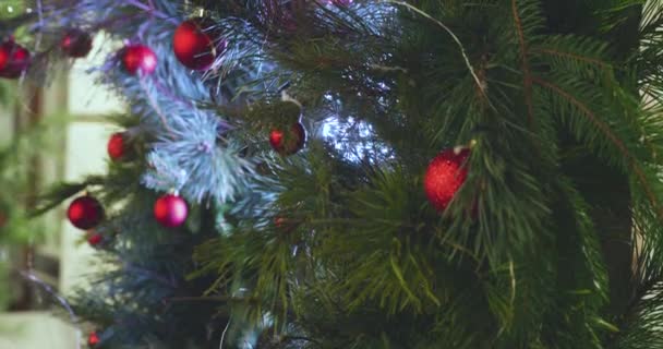 스프루스 가지에 갈랜드 크리스마스 — 비디오