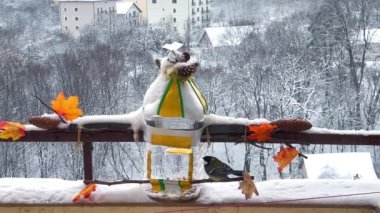 Tits eat pumpkin and sunflower seeds from a handmade feeder make from a plastic bottle on the balcony in winter.