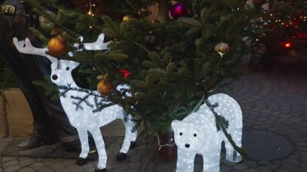 云杉树枝上的花灯 圣诞装饰 — 图库视频影像
