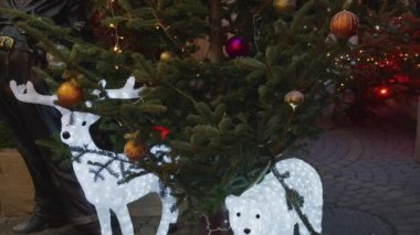 Ladin dallarında çelenk lambaları. Noel süslemesi.