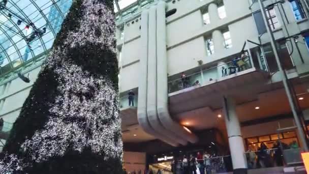 Toronto Canada December 2023 Magical Daily Tree Light Snow Shows — Stock Video