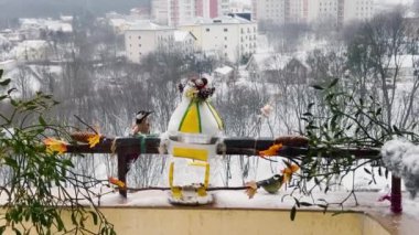 Woodpecker and great tits eats a piece of bacon and salo, pumpkin and sunflower seeds from a handmade feeder make from a plastic bottle on the balcony in winter.