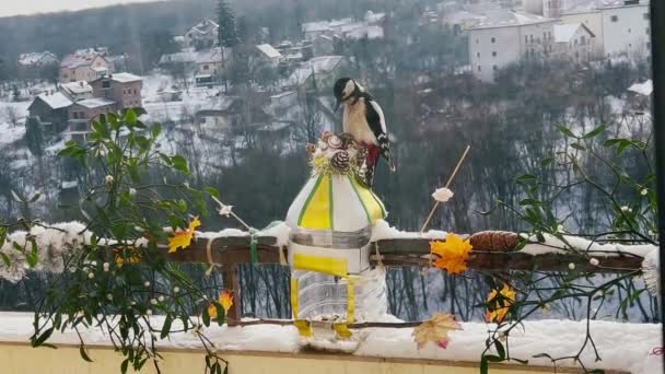 Dřevorubec Sedí Ručně Vyrobeném Podavači Plastové Láhve Balkóně Zimě — Stock video