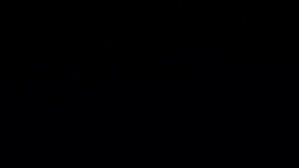 Eine Weiße Schwanenfeder Fällt Auf Eine Schwarze Reflektierende Oberfläche Zeitlupe — Stockvideo