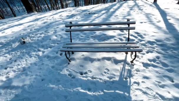 Wooden Bench Winter Park Covered Snow — Stock Video