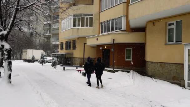 Blizzard Der Stadt Fallende Schneeflocken Aus Schnee Menschen Die Ihren — Stockvideo