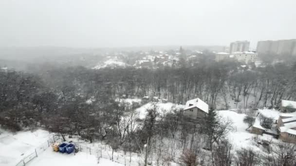 Blizzard Vor Der Kulisse Von Wald Und Häusern Dreharbeiten Winter — Stockvideo