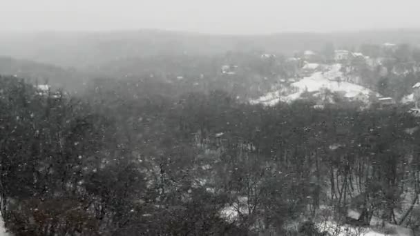 暴雪在森林和房屋的背景下 冬季枪战 — 图库视频影像