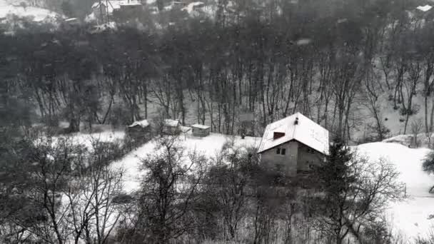 暴雪在森林和房屋的背景下 冬季枪战 — 图库视频影像