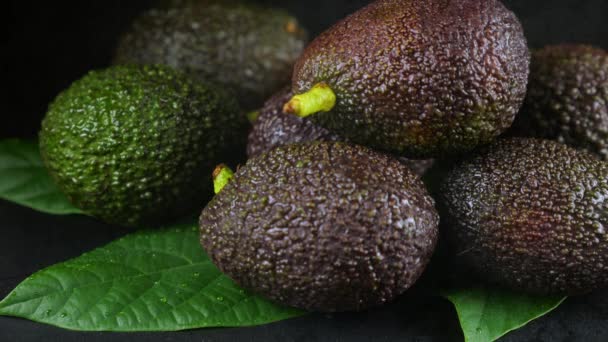 Πιτσιλιές Νερού Πέφτουν Φρούτα Αβοκάντο Φύλλα Μαύρο Φόντο Ωμά Φρούτα — Αρχείο Βίντεο