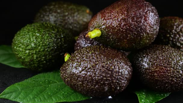 Wassertropfen Fallen Auf Avocadofrüchte Mit Blättern Auf Schwarzem Hintergrund Rohe — Stockvideo
