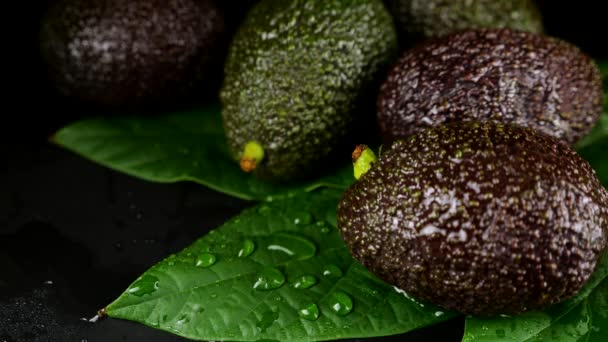 Капли Воды Падают Плоды Авокадо Листьями Черном Фоне Сырые Фрукты — стоковое видео