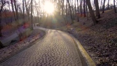 Güneşin arka ışığında kaldırım taşı yolu boyunca yürü. Parkta çekim..