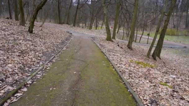 Шлях Старому Осінньому Парку Покритому Мохом — стокове відео