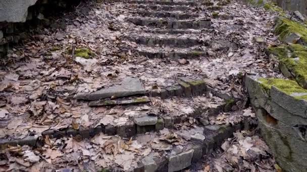 Ruïnes Van Een Oude Stenen Trap Bedekt Met Mos Een — Stockvideo