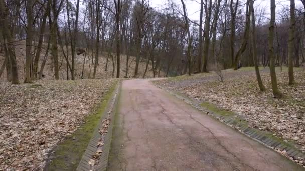 Ścieżka Starym Jesiennym Parku Pokrytym Mchem — Wideo stockowe