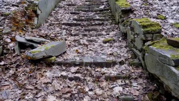 Ruïnes Van Een Oude Stenen Trap Bedekt Met Mos Een — Stockvideo