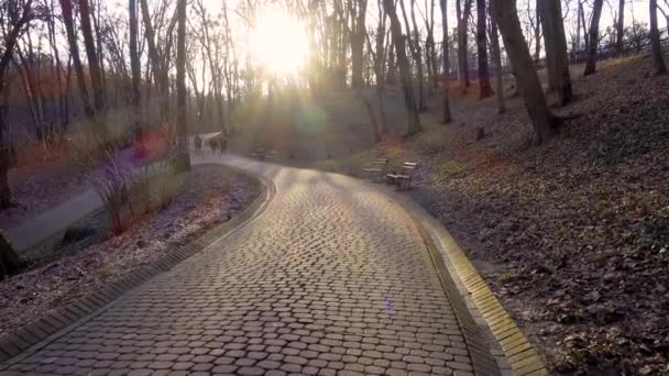 Gehen Sie Gegenlicht Der Sonne Den Kopfsteinpflasterweg Entlang Dreharbeiten Park — Stockvideo