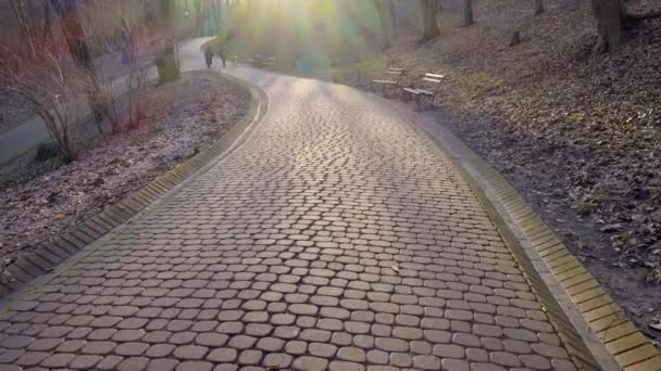 在阳光下沿着鹅卵石小径行走 在公园拍戏 — 图库视频影像