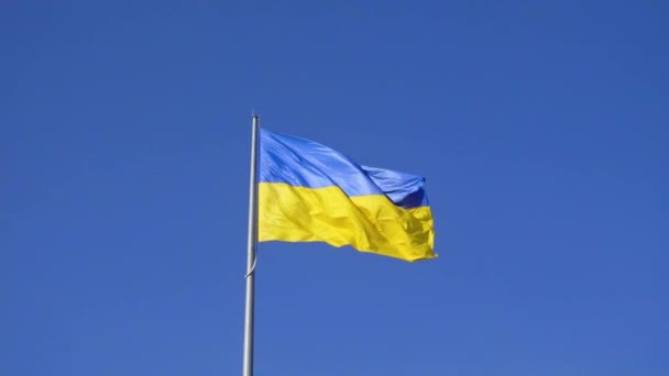 Bandera Ucrania Contra Cielo Azul — Vídeos de Stock