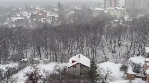 Śnieżna Zamieć Tle Drzew Lesie Domków — Wideo stockowe