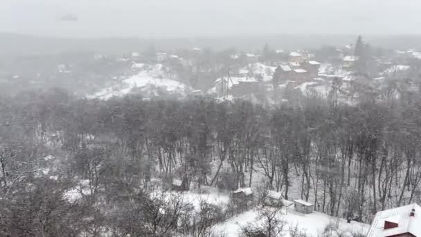 Schneesturm Vor Dem Hintergrund Von Bäumen Wald Und Auf Dem — Stockvideo
