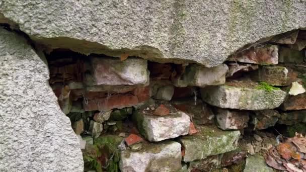 Die Ruinen Einer Alten Steintreppe Mit Moos Bedeckt Einem Herbstlichen — Stockvideo