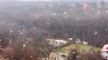 Ormandaki ağaçların ve kulübelerin arka planında kar yağıyor..