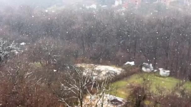 Ormandaki Ağaçların Kulübelerin Arka Planında Kar Yağıyor — Stok video
