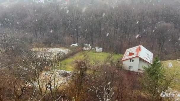 Ormandaki Ağaçların Kulübelerin Arka Planında Kar Yağıyor — Stok video