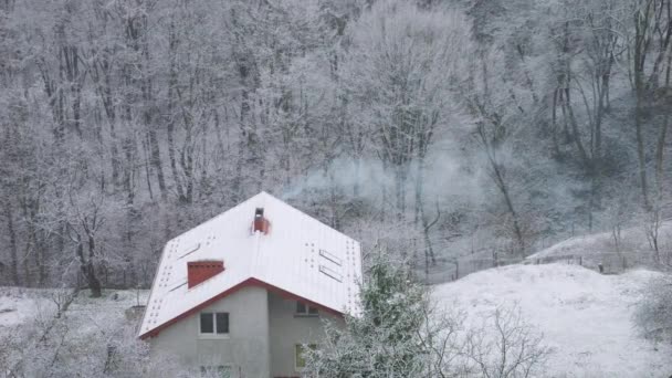 冬の風景と降雪のトップビュー 煙突から雪に覆われた屋根と煙の家 — ストック動画