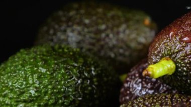 Avokado meyvelerinin üzerine siyah arka planda yapraklarla su damlaları düşer. Çiğ meyve, sağlıklı yiyecek..