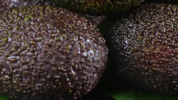 Stříkance Vody Padají Avokádové Plody Listy Černém Pozadí Syrové Ovoce — Stock video