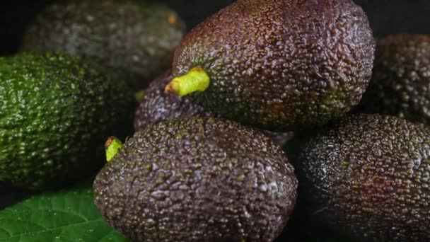 Spatten Water Vallen Avocado Vruchten Met Bladeren Een Zwarte Achtergrond — Stockvideo