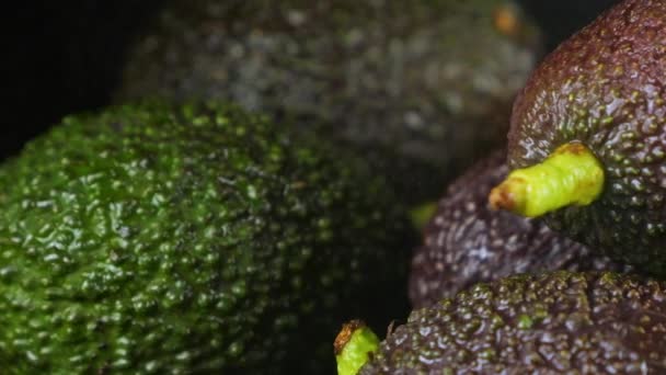 水花落在鳄梨果实上 叶子在黑色的背景上 健康食品 — 图库视频影像