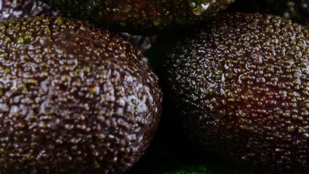 Druppels Water Vallen Avocado Fruit Met Bladeren Een Zwarte Achtergrond — Stockvideo