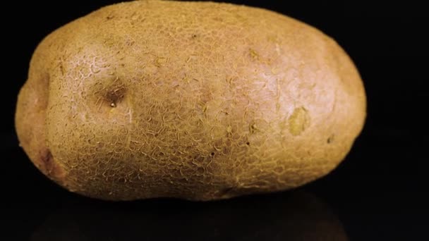 Rotating Potatoes Black Background — Stock Video