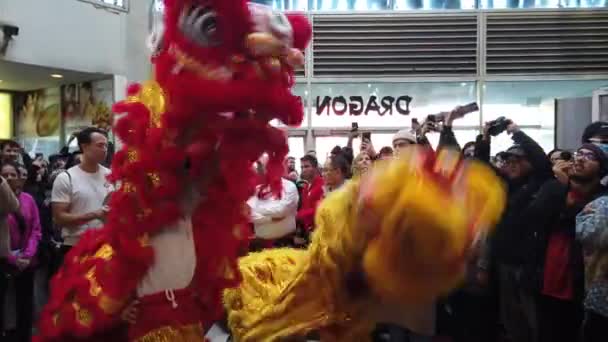 Toronto Canada Februari 2024 Traditionele Leeuwendans Dragon City Mall Openbare — Stockvideo