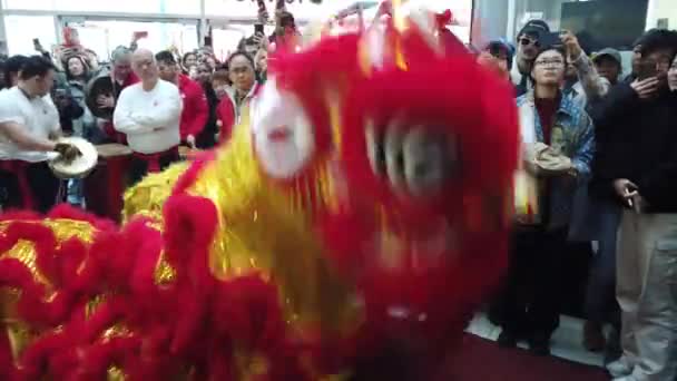 Toronto Canada Fevereiro 2024 Dança Tradicional Leão Dragon City Mall — Vídeo de Stock