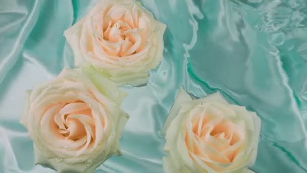 Kwiaty Białych Różowych Róż Unoszą Się Powierzchni Wody Niebieskim Tle — Wideo stockowe