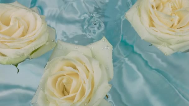 Vízcsepp Esik Víz Felszínén Úszó Virágok Fehér Rózsa Kék Háttér — Stock videók