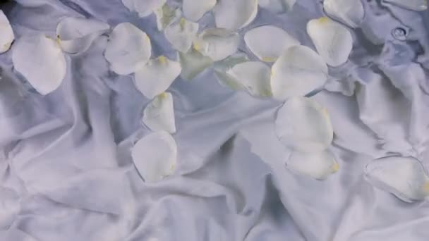 Rózsaszirmok Lebegnek Víz Felszínén Hullámokkal Összetétel Kék Tónusban — Stock videók